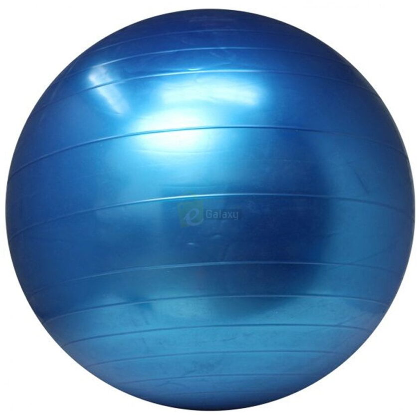 Buy 75cm GYM Ball Gymnastic ball King Lion in Pakistan 2024